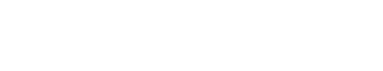Speed e-Loans logo